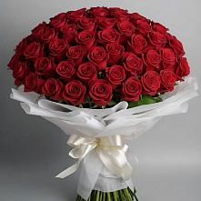 Букет 101 Красная роза Блэк Мэджик #REPLACE_PRED# Спорном