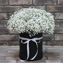Цветочная композиция из Гипсофила в шляпной коробке в Спорном