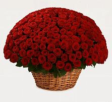 Премиум букет из: Розы #REPLACE_PRED# Спорном